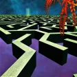 3D Maze Game ( Bhul Bhulaiya)