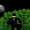 3D Ninja