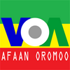 Afaan Oromoo News