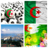 Algeria Flag Wallpaper: Flags