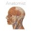 Anatomist 