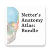 Anatomy Atlas, USMLE, Clinical