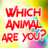 Animal Quizz