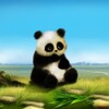 Animated Panda Live Wallpaper