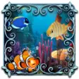 Aquarium Photo Frames