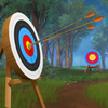 Archery Target Jungle Shooting