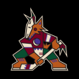 Arizona Coyotes