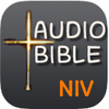 Audio Bible NIV