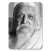 Auro Dictionary:Sri Aurobindo