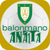 Balonmano ANAITA