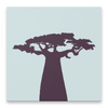 Baobab