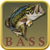 Bass Fishing