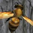 Bee Nest Simulator 3D 