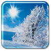 Winter Live Wallpaper