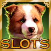 Slots Mania