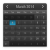 Month Calendar Widget