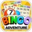 Bingo Adventure 