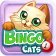 Bingo Cats