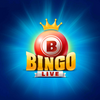 Bingo Live Games