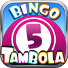 Bingo - Tambola | Twin Games