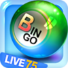 Bingo75 Live