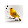 Bird Calls, Sounds & Ringtones