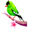 Birds Pixel Art Coloring Book