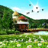 Summer Landscape Live Wallpaper