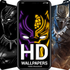 BlackPanther Wallpapers