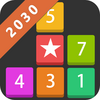 Block 2030 - Fun puzzle game