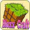 Bloxx Craft