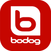 Bodog lv: casino game