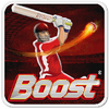 Boost Power Cricket