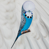 Budgerigar App