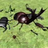 Bug Battle Simulator