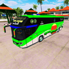 Bus skin bd