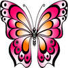 Butterfly HD Coloring Book