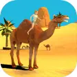 Camel Simulator