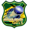 Campeonato Brasileiro 2015