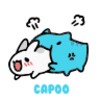 Capoo Snap