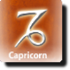 Capricorn Love Compatibility