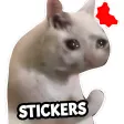 Cat Memes Stickers WASticker