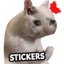 Cat Memes Stickers 