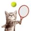 Cat Meow Tennis 