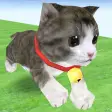 Cat Run