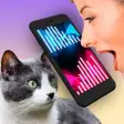 Cat Translator Simulator 