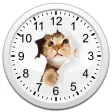 Cats Analog-Clocks Widget