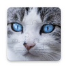 Cats Jigsaw Puzzle