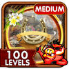 Challenge #209 Horse Shoe New Free Hidden Objects