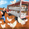 Chicken Transporter Truck – Po